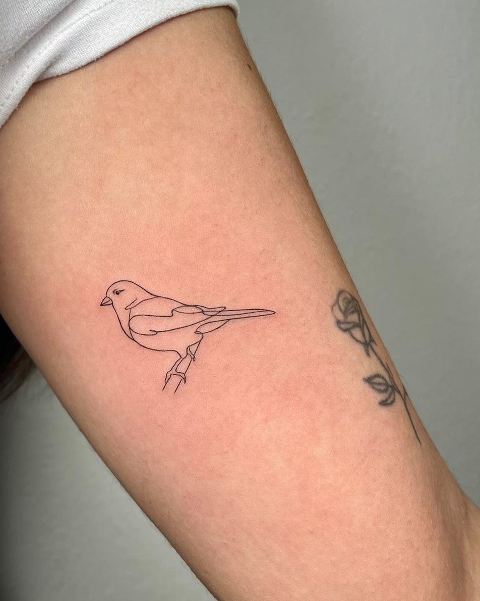 Pájaro en línea fina en el brazo