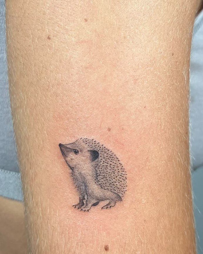 Erizo pequeño de microrealismo en el brazo