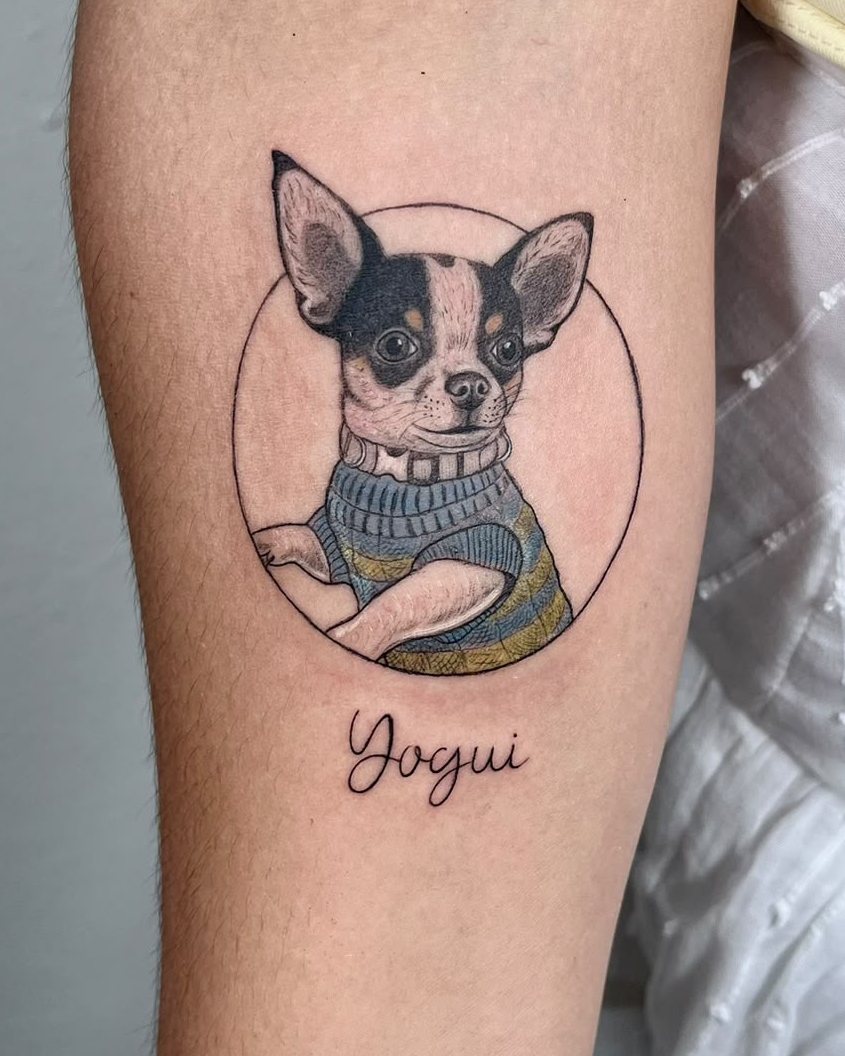 Chihuahua con jersey dentro de un círculo y el nombre «Yogui» debajo