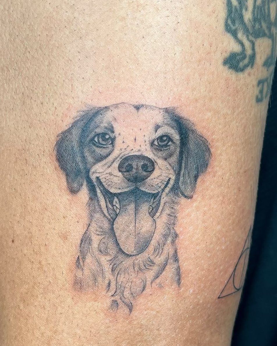 Retrato de microrealismo de un perro sonriendo con la lengua fuera en el brazo