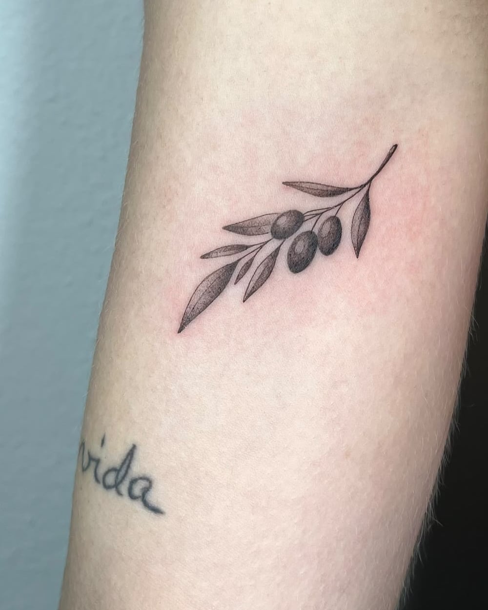 Rama de olivo en línea fina y la palabra «vida» en letra manuscrita en el brazo